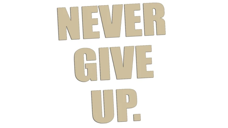 naklejka-never-give-up-bezowa.jpg