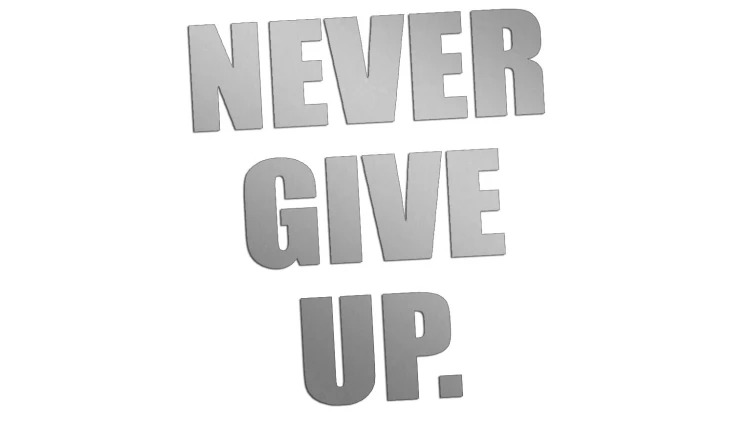 naklejka-never-give-up-srebrna.jpg