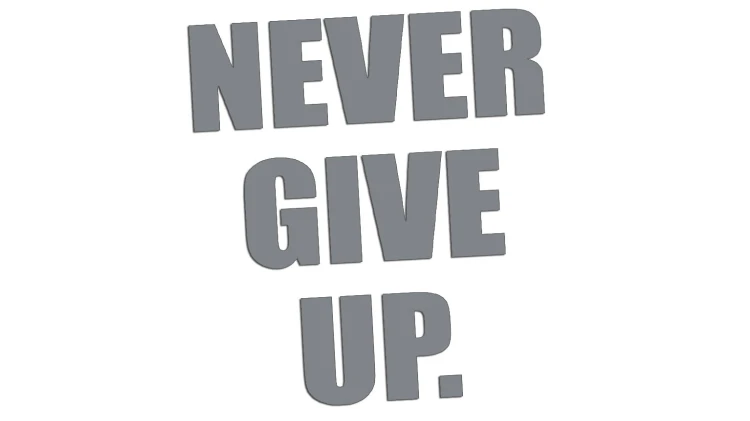 naklejka-never-give-up-szara.jpg