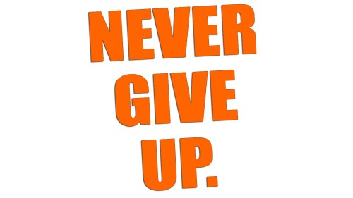naklejka-never-give-up-pomaranczowy-neon.jpg