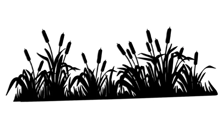 naklejka-palka-wodna-zarosla-typha.jpg