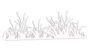 naklejka-palka-wodna-zarosla-typha-biala.jpg