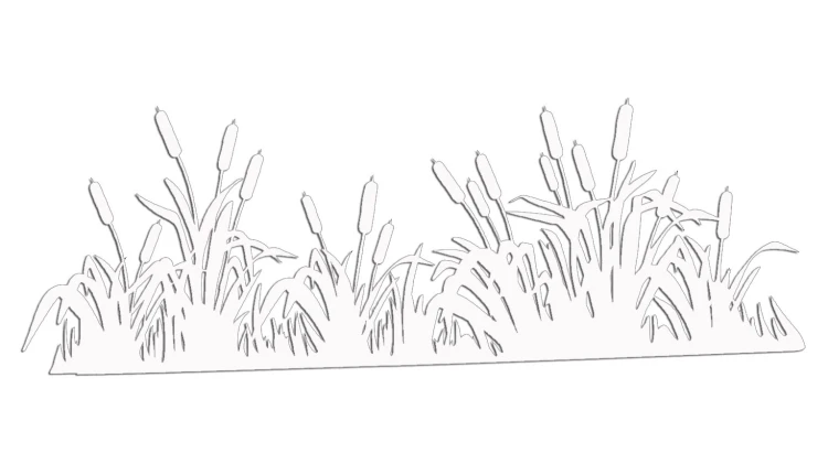 naklejka-palka-wodna-zarosla-typha-biala.jpg