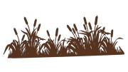 naklejka-palka-wodna-zarosla-typha-ciemny-brazowy.jpg