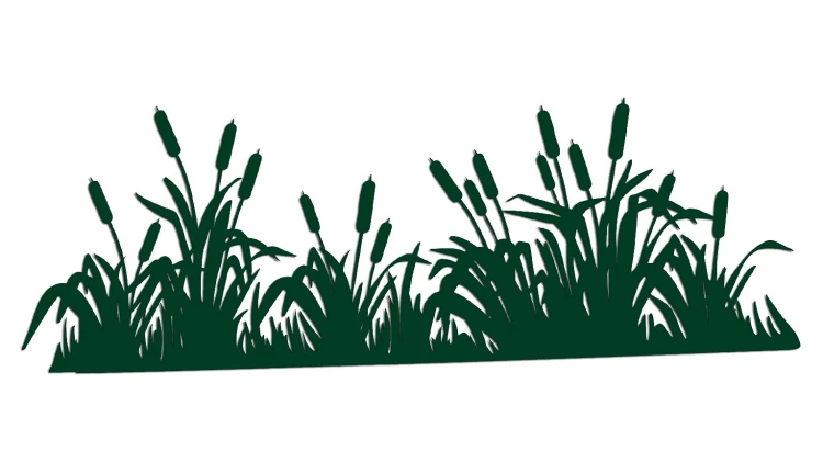 naklejka-palka-wodna-zarosla-typha-ciemny-zielony.jpg