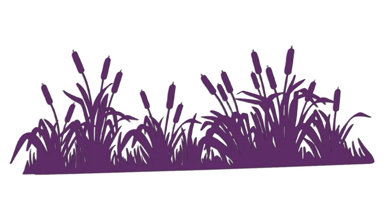 naklejka-palka-wodna-zarosla-typha-fioletowa.jpg
