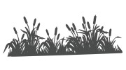 naklejka-palka-wodna-zarosla-typha-grafitowa.jpg
