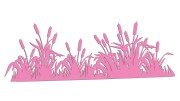 naklejka-palka-wodna-zarosla-typha-jasny-rozowy.jpg