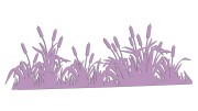 naklejka-palka-wodna-zarosla-typha-liliowa.jpg