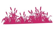 naklejka-palka-wodna-zarosla-typha-rozowa.jpg