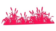 naklejka-palka-wodna-zarosla-typha-rozowy-neon.jpg