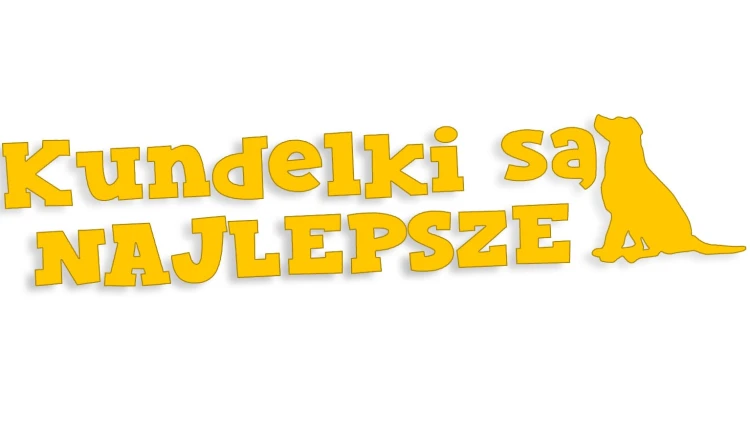 naklejka-kundelki-sa-najlepsze-zolta.jpg