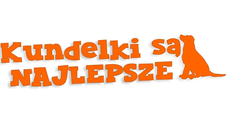 naklejka-kundelki-sa-najlepsze-pomaranczowa-neon.jpg