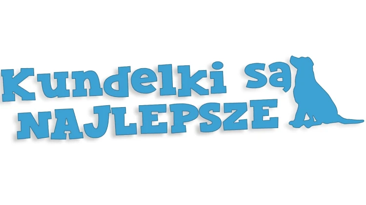 naklejka-kundelki-sa-najlepsze-blekitna.jpg
