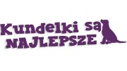 naklejka-kundelki-sa-najlepsze-fioletowa.jpg