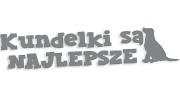 naklejka-kundelki-sa-najlepsze-szara.jpg