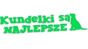 naklejka-kundelki-sa-najlepsze-zielona-neon.jpg