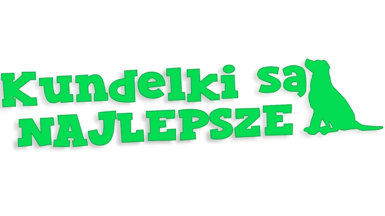 naklejka-kundelki-sa-najlepsze-zielona-neon.jpg