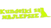 naklejka-kundelki-sa-najlepsze-zolta-neon.jpg