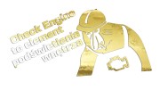 naklejka-janusz-nosacz-check-engine-to-element-podswietlenia-wnetrza-zloty-chrom.jpg