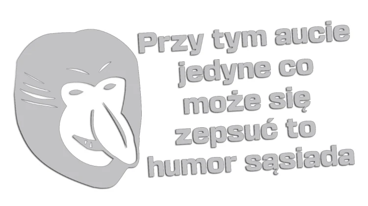 naklejka-janusz-nosacz-przy-tym-aucie-jedyne-co-moze-sie-zepsuc-to-humor-sasiada-jasny-szary.jpg
