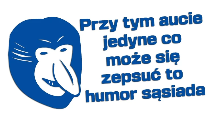 naklejka-janusz-nosacz-przy-tym-aucie-jedyne-co-moze-sie-zepsuc-to-humor-sasiada-niebieska.jpg