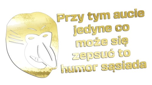 naklejka-janusz-nosacz-przy-tym-aucie-jedyne-co-moze-sie-zepsuc-to-humor-sasiada-zloty-chrom.jpg