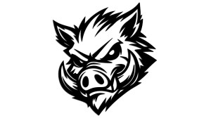 ZŁY DZIK - kolory - połysk/mat