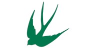 naklejka-jaskolka-ptak-zielona.jpg