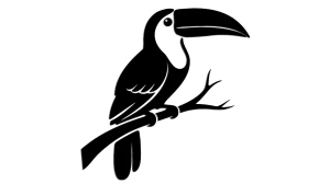 Naklejka TUKAN PTAK EGZOTYCZNY - kolory - połysk/mat