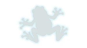 Naklejka ŻABA NADRZEWNA RZEKOTKA - kolory odblaskowe