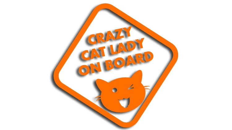 naklejka crazy cat lady on board pomaranczowa.jpg