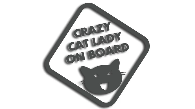 naklejka crazy cat lady on board grafitowa.jpg