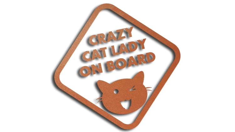 naklejka crazy cat lady on board miedziana.jpg