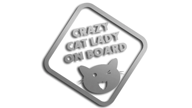 naklejka crazy cat lady on board srebrna.jpg