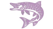 naklejka-ryba-szczupak-liliowa.jpg