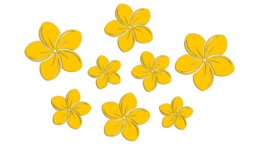 naklejki-kwiaty-hawajskie-plumeria-8-sztuk-zolte.jpg
