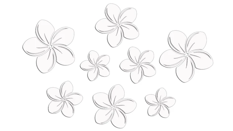Naklejki KWIATY HAWAJSKIE - Plumeria - Zestaw 8 szt. białe