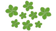 naklejki-kwiaty-hawajskie-plumeria-8-sztuk-jasny-zielony.jpg