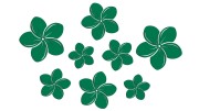 naklejki-kwiaty-hawajskie-plumeria-8-sztuk-zielone.jpg