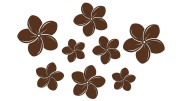 naklejki-kwiaty-hawajskie-plumeria-8-sztuk-ciemny-brazowy.jpg