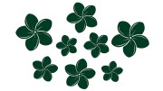 naklejki-kwiaty-hawajskie-plumeria-8-sztuk-ciemny-zielony.jpg