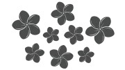 naklejki-kwiaty-hawajskie-plumeria-8-sztuk-grafitowe.jpg