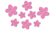 naklejki-kwiaty-hawajskie-plumeria-8-sztuk-jasny-rozowy.jpg