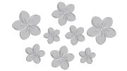 naklejki-kwiaty-hawajskie-plumeria-8-sztuk-jasny-szary.jpg