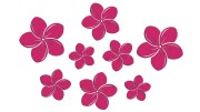 naklejki-kwiaty-hawajskie-plumeria-8-sztuk-rozowe.jpg