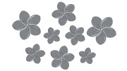 naklejki-kwiaty-hawajskie-plumeria-8-sztuk-szare.jpg