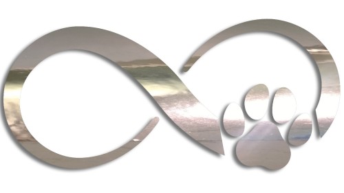 Naklejka ZNAK NIESKOŃCZONOŚCI - łapka pieska lub kotka - Infinity - chrom