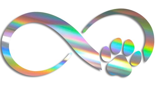 Naklejka ZNAK NIESKOŃCZONOŚCI - łapka pieska lub kotka - Infinity - holograficzna