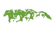 naklejka-trzy-konie-jasny-zielony.jpg
